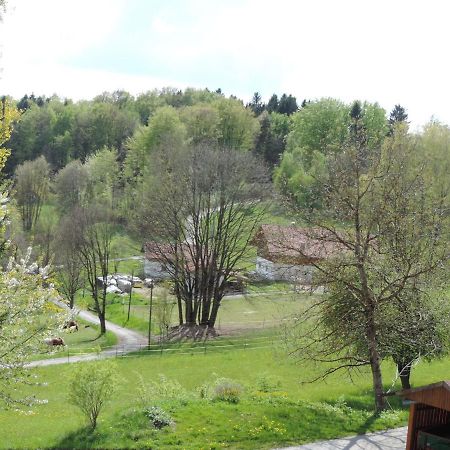 Ferienwohnung Waldoase Am Fuchsenstein Spiegelau Oda fotoğraf
