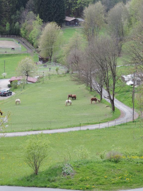 Ferienwohnung Waldoase Am Fuchsenstein Spiegelau Dış mekan fotoğraf