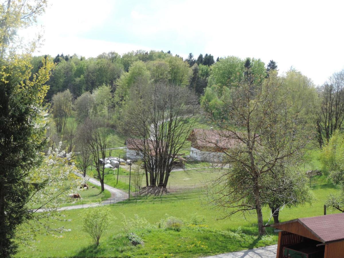 Ferienwohnung Waldoase Am Fuchsenstein Spiegelau Oda fotoğraf